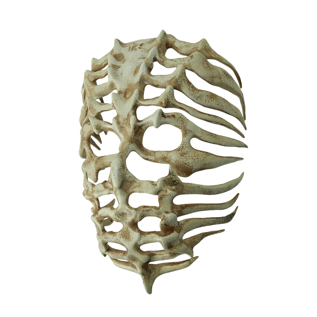 TC BONE FACE MASK