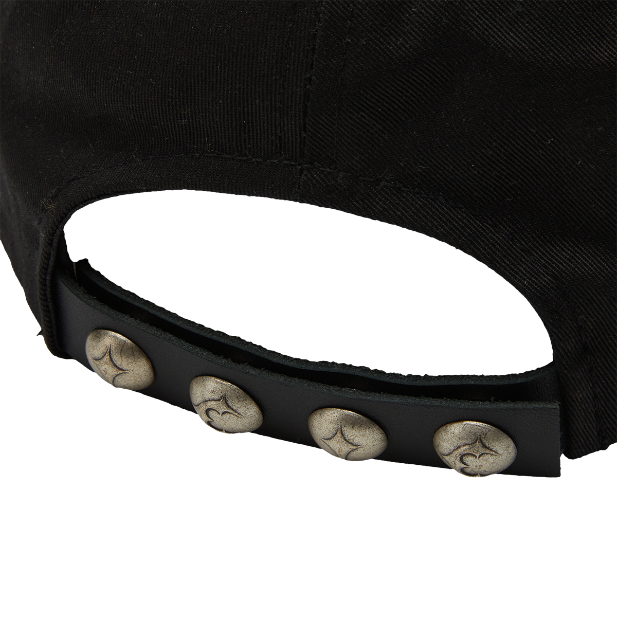 TYRANNOSAURUS CAP
