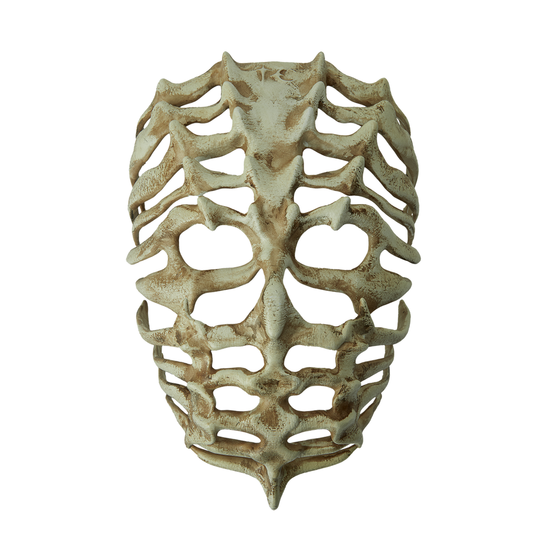 TC BONE FACE MASK