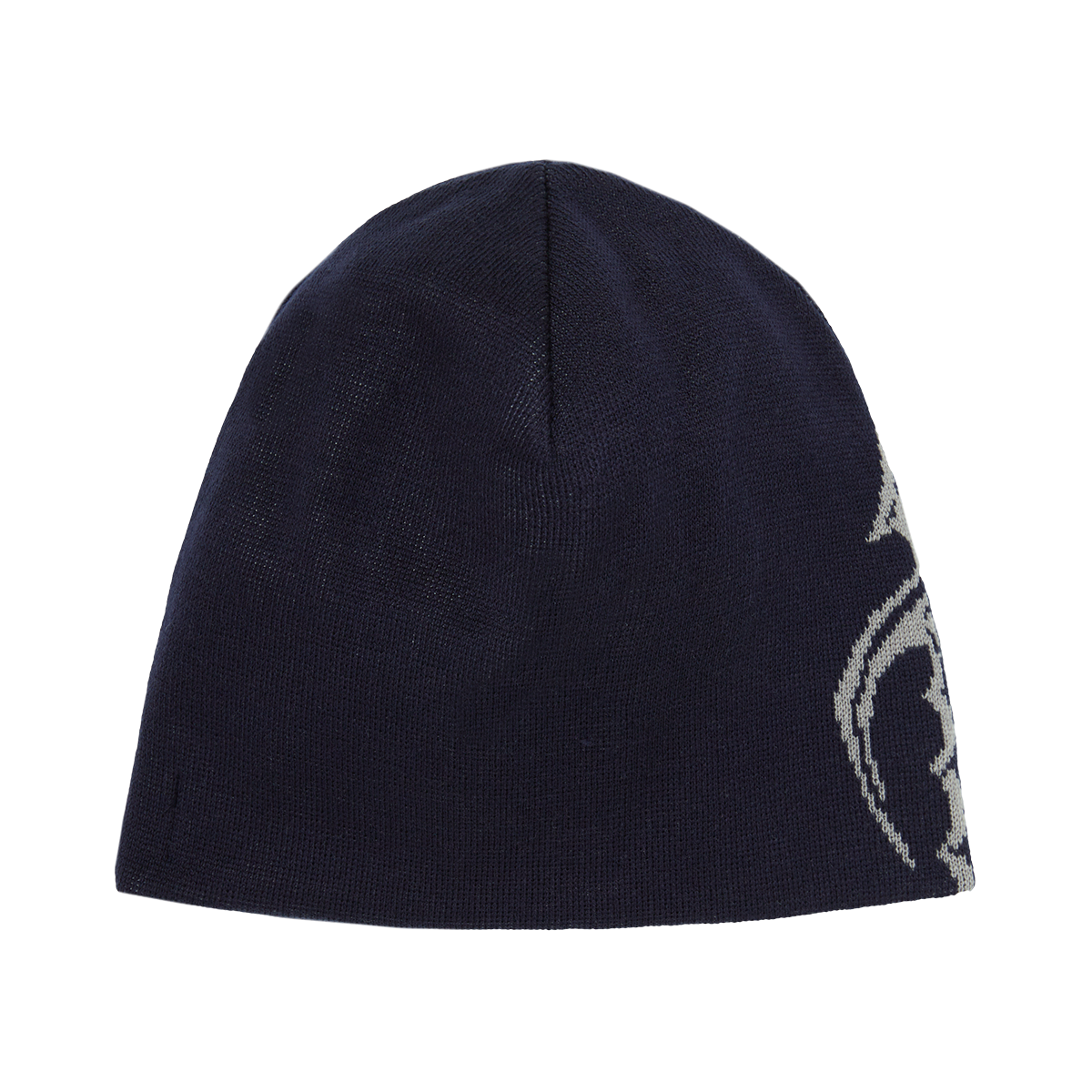 Iron spear pin beanie