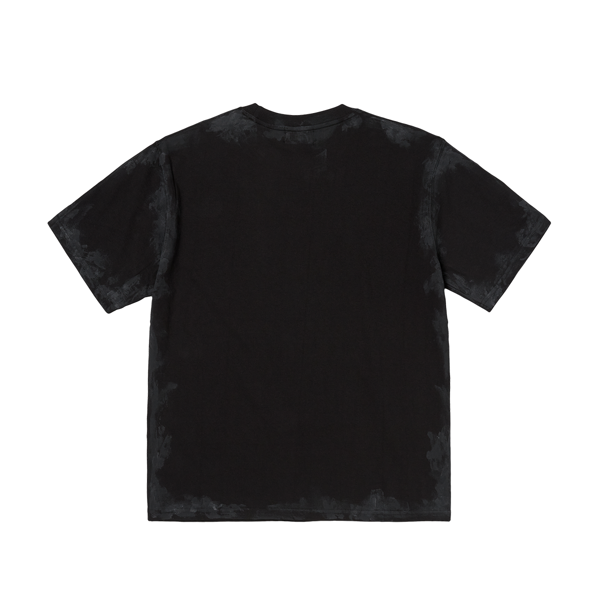 SanToRyu Master T-Shirt